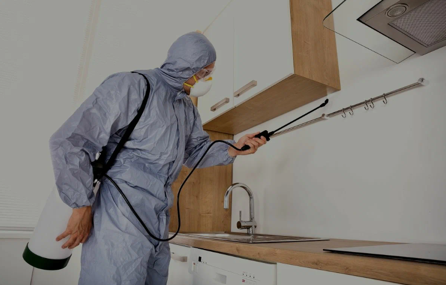 Wildomar pest managment